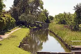 Brown and narrow canals of the island