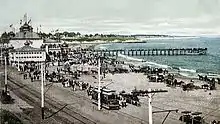 beach with horses