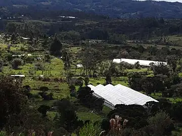 Greenhouses