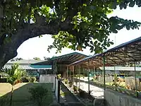 Santo Tomas Elementary School (in front of the Town Hall)