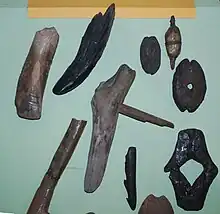 Image 5Neolithic bone tools (from History of Latvia)