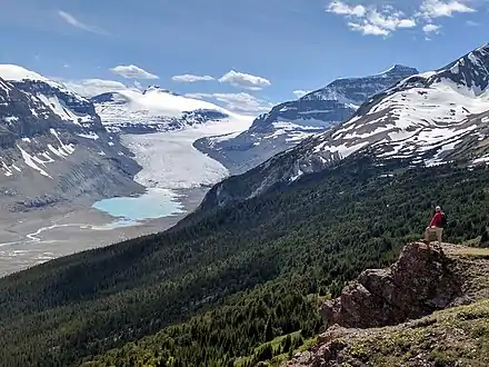 Saskatchewan Glacier and Castleguard Mountain