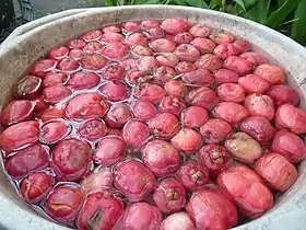 Fruit soaking at nursery