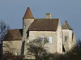 The Castle of Savianges