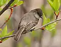 Taken at Cap Tourmente National Wildlife Area, Quebec