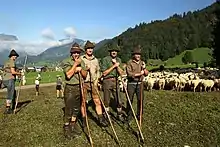 Image 6Herding sheep in Austria (from Alps)