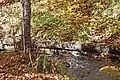 Creek with ruins of what may be a corduroy road