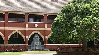 The weeping elm in The Quadrangle (2009)