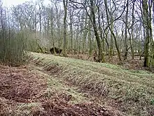 Image 40Scots' Dike (from History of Cumbria)