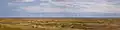 Scroby Sands wind farm panorama