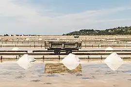 Sečovlje Saltworks