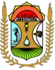 Official seal of Angostura Municipality