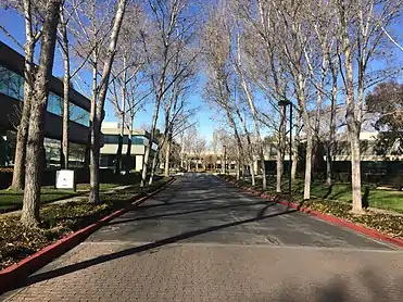 View down Saginaw Drive