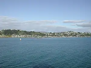 Seatoun from Wellington Harbour entrance