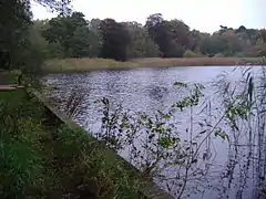 Selbrigg pond, part of the watercourse of the Glaven.