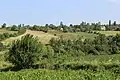 Село Клинци - панорама
