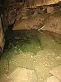 Submerged stairway leading down from the sixth to the seventh level of Seneca Caverns.