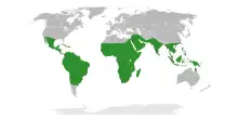 World map showing distribution of Senegalia throughout the tropics