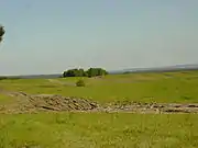 Typical training area landscape: tank tracks can be clearly seen.