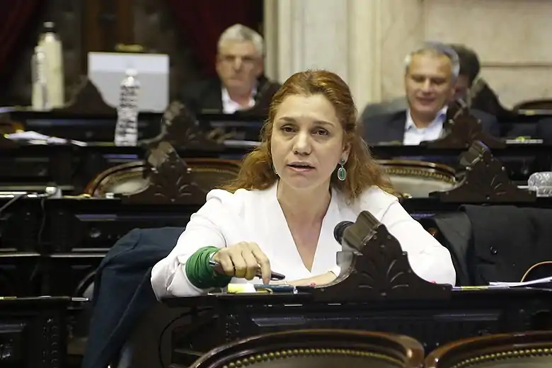 Sesión 13-06-2018 Diputada Karina Banfi.jpg