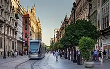 The tram passing down Avenida de la Constitución