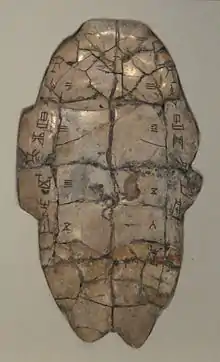 Tortoise plastron with divination inscription dating to the reign of King Wu Ding