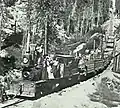 The Sequoia Railroad hauls rough cut timber on the short line to Millwood