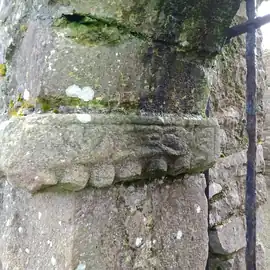 Sheela-na-gig at Liathmore