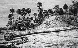 Image 4A shell midden at Enterprise, Florida in 1875. (from History of Florida)