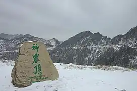 Shennongding(神農頂): "Shennong's peak", associated with the story that Shennong had a ladder which he used to climb up and down the mountain, and which later turned into the local forest.