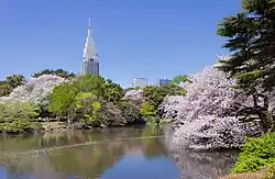 The tower from Shinjuku Gyoen National Garden