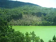 View of the lake from near the dam, during the algal bloom (2008)