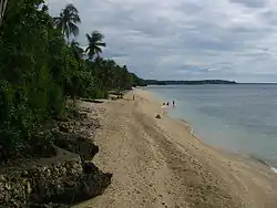 Antulang Beach at Siaton