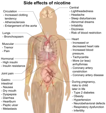 Possible side effects of nicotine include increased clotting tendency, atherosclerosis, enlargement of the aorta, bronchospasm, muscular tremor and pain, gastrointestinal nausea, dry mouth, dyspepsia, diarrhea, heartburn, peptic ulcer, cancer, lightheadedness, headache, sleep disturbances, abnormal dreams, irritability, dizziness, blood restriction, increased or decreased heart rate, increased blood pressure, tachycardia, more (or less) arrhythmias, coronary artery constriction, coronary artery disease, high insulin, insulin resistance, and risks to child later in life during pregnancy include type 2 diabetes, obesity, hypertension, neurobehavioral defects, respiratory dysfunction, and infertility.