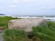 Image 1Erratics, boulders deposited by glaciers far from any existing glaciers, led geologists to the conclusion that climate had changed in the past. (from History of climate change science)