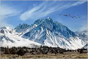 Baldwin behind left of Mt. Morrison seen from the north