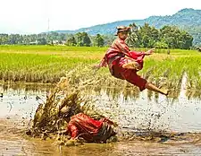 Image 19A demonstration of Pencak Silat, a form of martial arts. (from Culture of Indonesia)