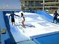 Surf simulator on Oasis of the Seas