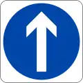 Ahead only (Turning left and right is prohibited)
