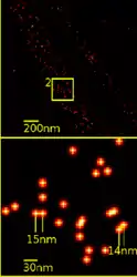 SPDMphmyod: Single YFP molecule detection in a human cancer cell