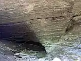 The wall of a large sinkhole along the Hidden Springs Trail