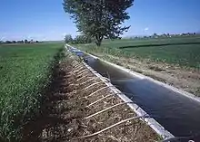 Image 7Surface irrigation system using siphon tubes