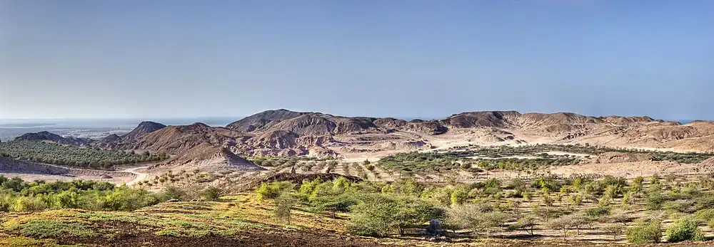 Sir Bani Yas