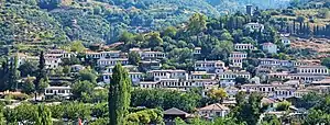 a small village of blue houses, next to a mountain