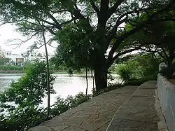 Sitting Place- Lotus Pond