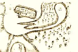 Sketch of the area, including trees and other vegetation