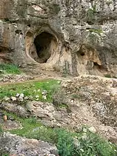 Image 8Es Skhul cave (from History of Israel)