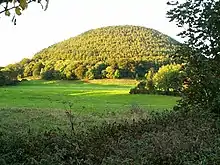 Photograph of a forested hill