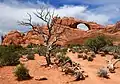 Skyline Arch