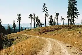 Skyline Drive, looking west. McCroskey did much of the roadbuilding himself.